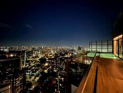 The Ritz-Carlton  (D9), Condominium #518312571